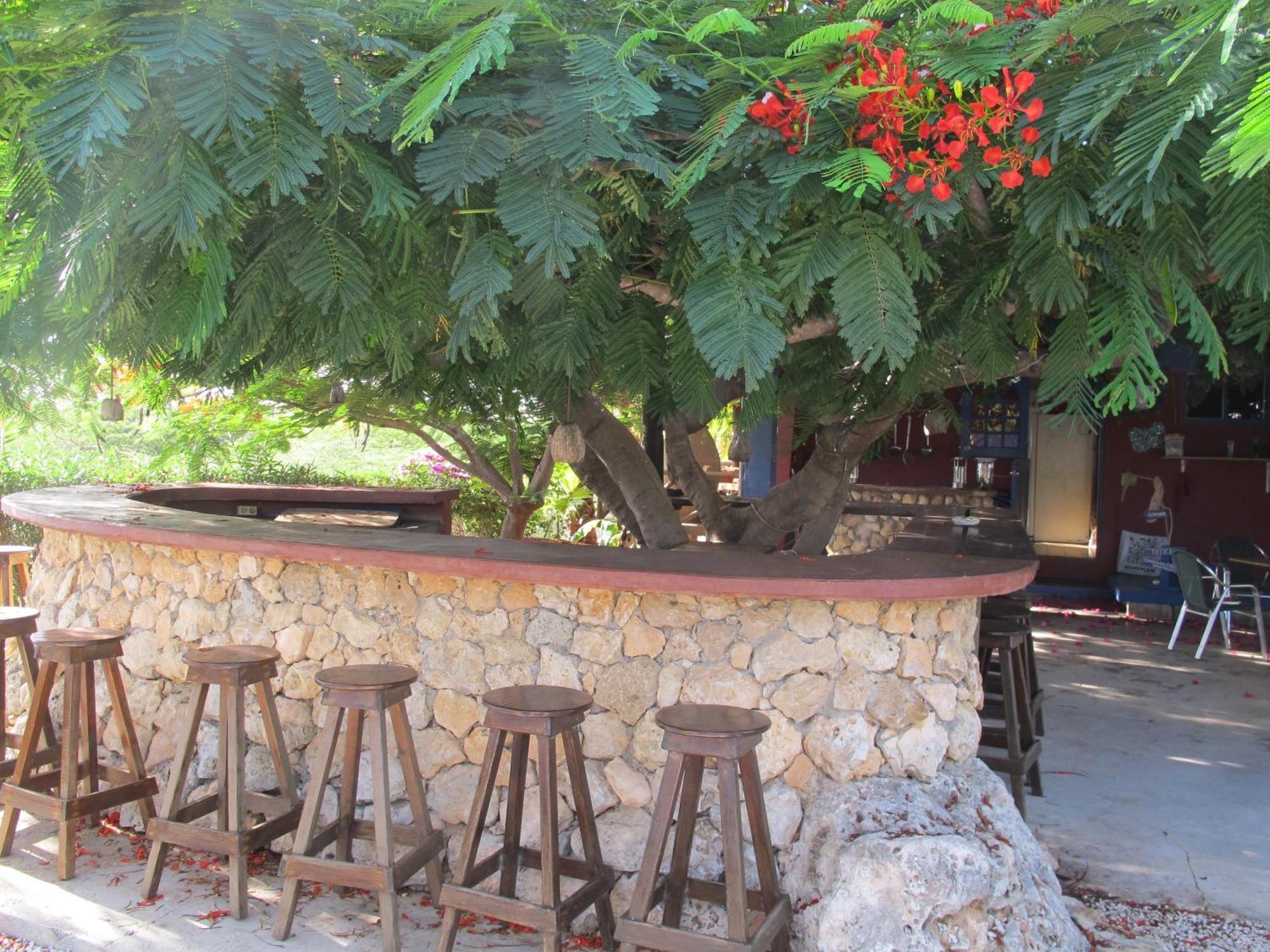 Caribbean Chillout Apartments Κράλεντικ Εξωτερικό φωτογραφία