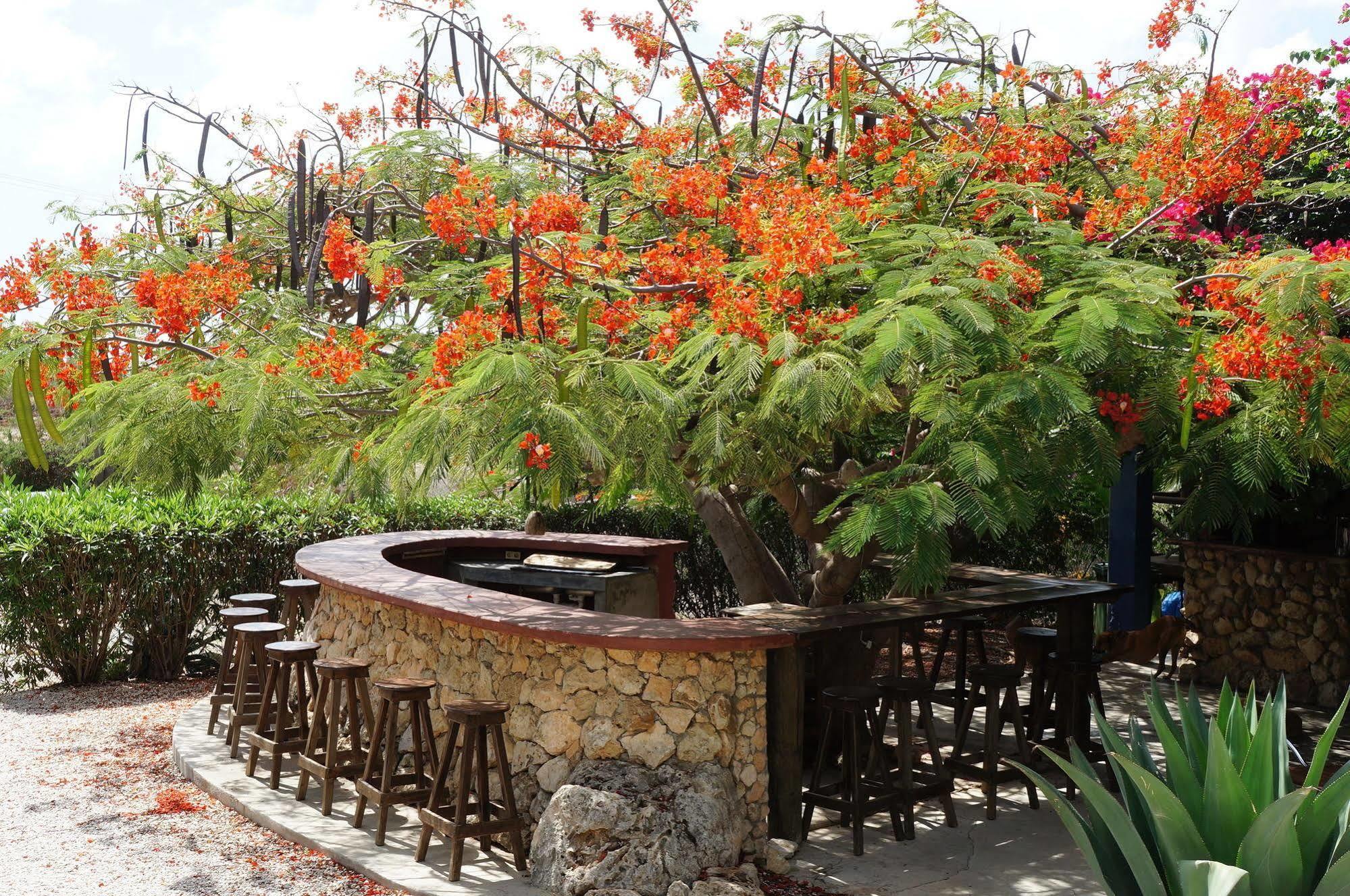 Caribbean Chillout Apartments Κράλεντικ Εξωτερικό φωτογραφία